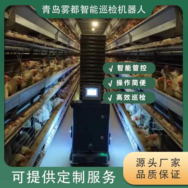 智能养鸡巡检机器人 革新家禽养殖管理的科技新星