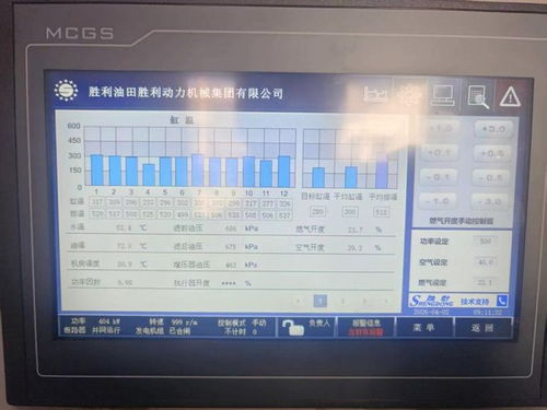 党建赋能绿色发展——水发集团胜动燃气党支部“油母页岩炼化气”示范品牌建设纪实